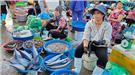 Top 6 chợ Hạ Long bán hải sản chất lượng giá rẻ nhất