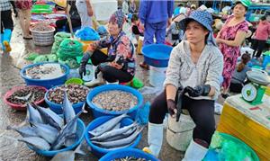 Top 6 chợ Hạ Long bán hải sản chất lượng giá rẻ nhất